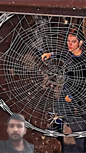 Spider-Man Wall Walking Scene 😱 | First Time Spidy Powers | Marvel Shorts Viral#spiderman#shortsfeed