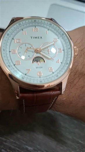 Timex Quartz Watch. panda, sun moon dial.