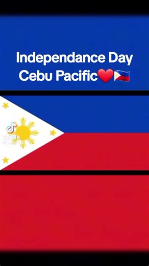 Happy independance day!!! #airline #philippines #independenceday #cebupacificair #ptfsroblox