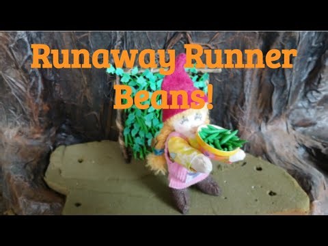 Runaway Runner Beans - Gnome Home Series #32: Garden edition