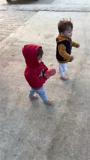 🦮🐕‍🦺TWINS FUN WITH DOG❤️🚗🥰 #thetwinshustle #comedy #trendingshorts #shortsfeed #dance#viralsong