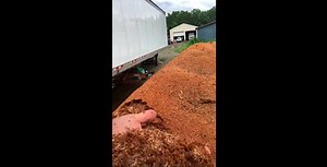 Mushroom Substrate: What It Is and Why It Is Important for Growing