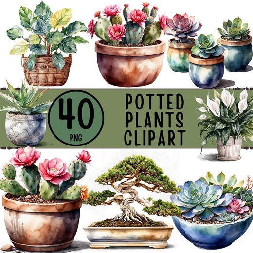 40 Potted Plants Clipart Bundle - Watercolor Houseplants PNG (digital Download) - Etsy