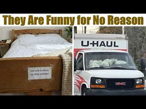 Random Photos That Are Funny and Interesting for No Reason