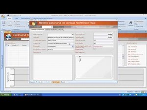 VIDEO 08 - SISTEMA NORTHWIND DE ACCESS