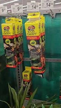 What Petco Gets Wrong About Leopard Gecko Care