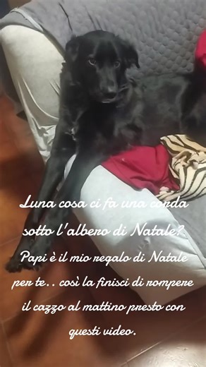 Video di Lupo e Luna (@lupo_luna1969) con Sell It Loud - FypaSound