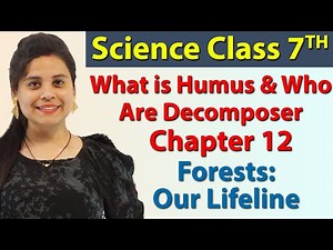 What is Humus & Who Are Decomposer - Chapter 12 - Forests: Our Lifeline - Science Class 7th NCERT