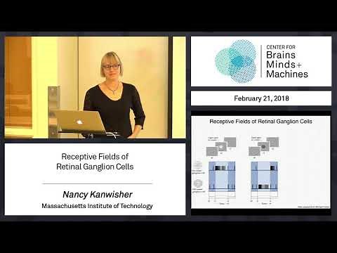 3.3 - Receptive Fields of Retinal Ganglion Cells