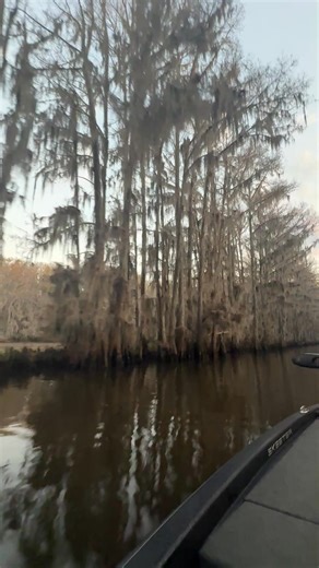 1.9K views · 31 reactions | Government Ditch on Caddo Lake is a...