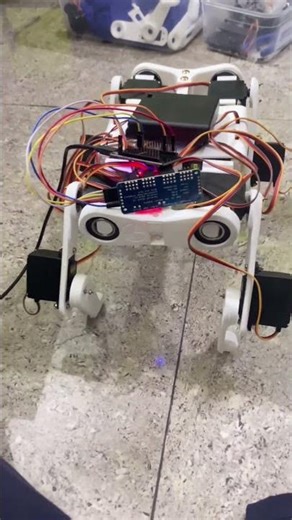 Robotic Dog Testing 🐶🤖 | Not Working Yet… But Learning Every Step