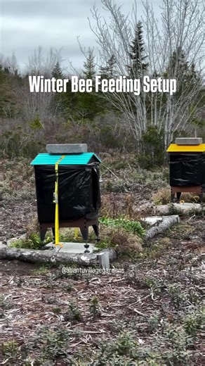 How to Feed Bees for Canadian Winter Care