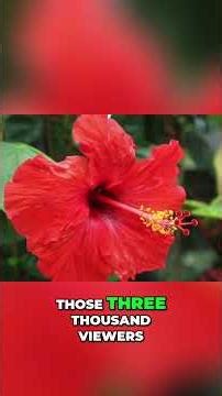 Restoring a Disappearing Garden: A Promise