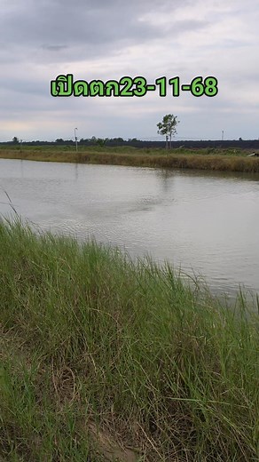 80 reactions · 7 comments | รายระเอียดในคอมเม้นครับ | Nit Winit | Facebook