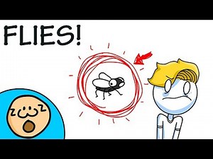 FLIES!!!
