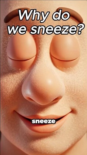 What Really Happens When You Sneeze? | Easy Biology