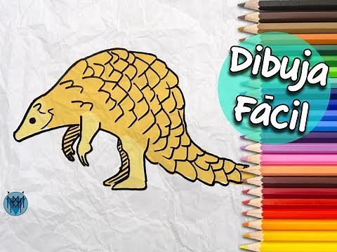 Cómo Dibujar un Pangolin Fácil ✍🏽✨ Dibujos para Dibujar