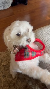 I love play dates. | Dountin