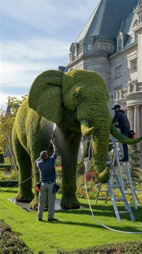 “Luxury Mansion Lawn Transformation: Giant Elephant Topiary Build — Hyper-Realistic Cinematic