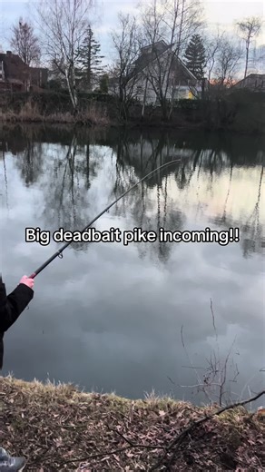 Monster Pike Fishing Adventure