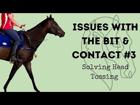 Issues with the Bit & Contact - Solving Head Tossing
