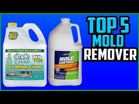 Top 5 Best Mold Removers Reviews in 2022