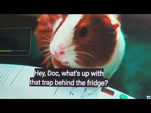 Dr. Dolittle - John Dolittle Tells Rodney to Get Back In His Cage