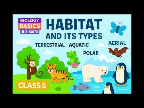 Habitat and Its Types | Class 5 Science | Biology Basics