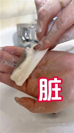 Big Fat Mouse Bathing Challenge in 1 Min! PetBathing CutePetDebut FlowerBranch