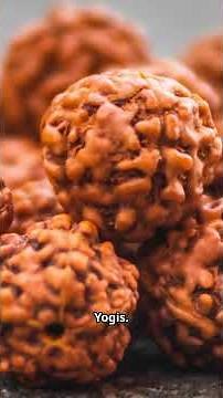 Rudraksha Secrets: History, Types & Surprising Benefits!