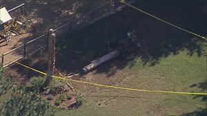 4-year-old boy dies after being hit by falling tree