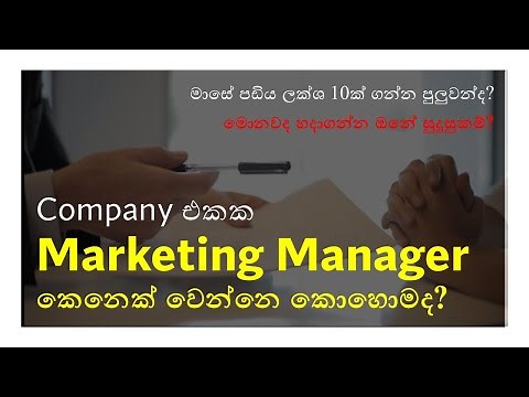 How to become a Marketing Manager : 2024