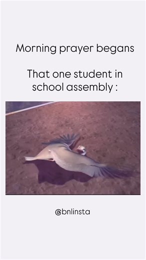 bnlinsta on Instagram: "Japan continues to innovate with recent breakthroughs like high-power laser weapons, AI-driven human washing machines (Mirai Ningen Sentakuki), advanced perovskite solar cells for windows, and innovations in robotics for elder care (walking chairs) and sports study (basketball robot CUE). Other novelties include electric salt-enhancing spoons, compact satellite tech, and clever everyday fixes like desktop sweepers and bag clips, showcasing a mix of high-tech and practical