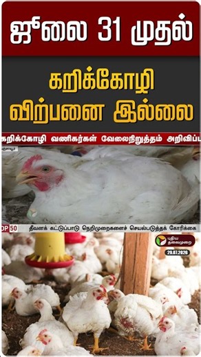 ஜூலை 31 முதல் கறிக்கோழி விற்பனை இல்லை | Broiler Chicken