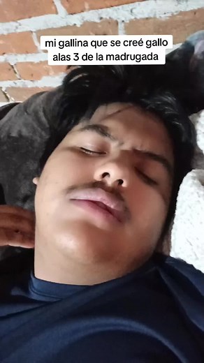 #miperro #parati #comedia XD esa gallina Nome deja dormir #humor