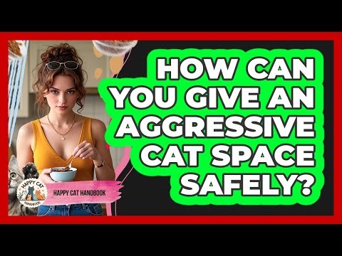 How Can You Give An Aggressive Cat Space Safely?
