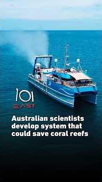 Australian scientists develop system that could save coral reefs | 101 East #shorts