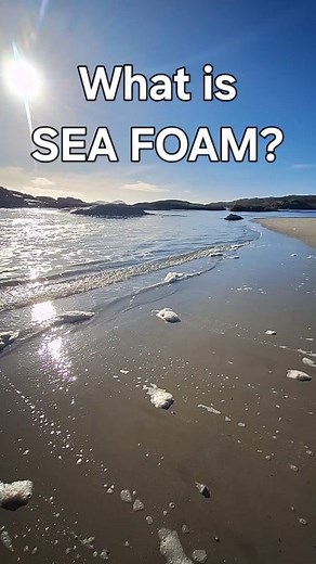 What is Sea Foam? I love watching sea foam, its really calming. But what is it? Watch to find out. | Wild Derrynane