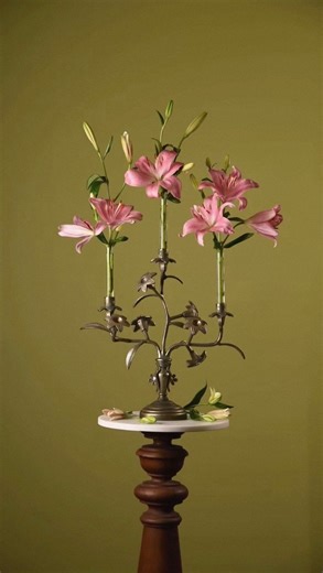 Mania Cutie | 𝐅𝐖𝟐𝟓 𝐁𝐥𝐨𝐨𝐦 𝐢𝐧 𝐂𝐡𝐚𝐨𝐬 ⋆𐙚 ̊. #maniacutie #outfits #fashion | Mania Cutie