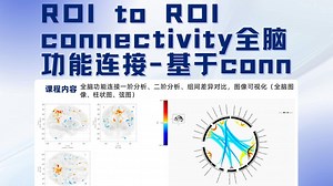 ROI to ROI connectivity全脑功能连接-基于conn
