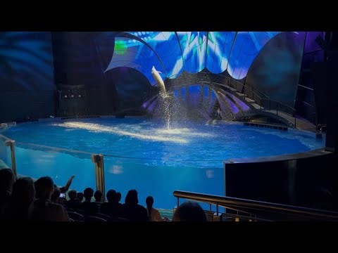 Dolphin showcase at Georgia aquarium PT2