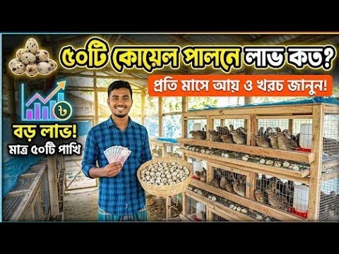 মাত্র ৫০০০ টাকায় শুরু করুন কোয়েল পালন! ৫০টি কোয়েলে মাসে কত লাভ?
