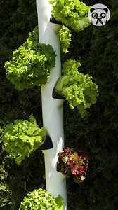 56K views · 220 reactions | Space-Saving Garden Idea! | Street Belle Fashion | Facebook