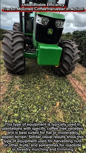 Unbelievable Efficiency | Tractor-Mounted Coffee Harvester in Action!