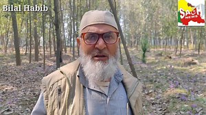 Season's first Saffron harvest brings joy to Pampore grower, Farooq Ahmad Dar "Shade, moisture essential for saffron production" Due to its globally renowned qualities, the season for selecting Saffron flowers is just about to commence. Yet, in Sambora village of Pampore in south Kashmir's Pulwama district, progressive farmer Farooq Ahmad Dar has already celebrated his first Saffron harvest of the year, expressing his delight.Speaking about his early harvest, Farooq Ahmad attributed it to his re