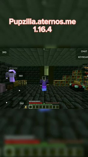 Funny Trolling Moments in Minecraft - Pupzilla Adventures