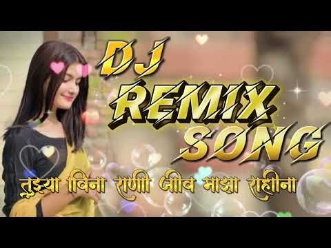 Tujhya Vina Rani Jiv Majha Rahina (DJ Remix)तुझ्या विना राणी जीव माझा राहीना #dj #trending