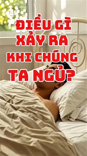 CƠ THỂ LÀM GÌ TRONG LÚC NGỦ?