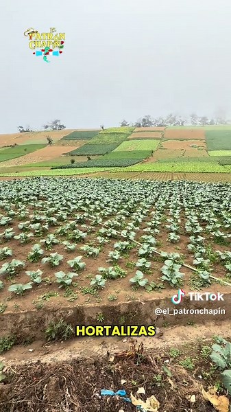 Patrones y patronas gracias por todo el cariño🥰 #elpatronchapin #parati #guatemala#fyppp