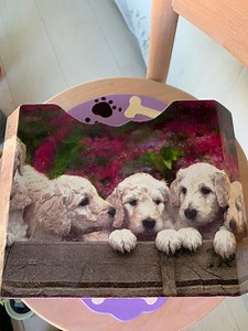 Hand Painted Wooden Mail Box - Etsy UK